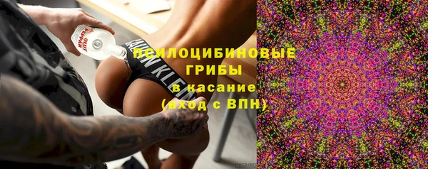крисы Алексин