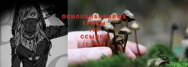 альфа пвп Протвино