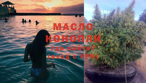 гидропоника Алзамай