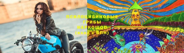 гидропоника Алзамай