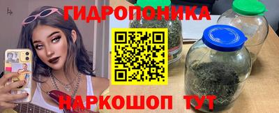 spice Можга