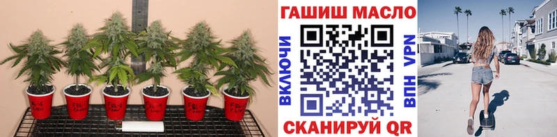 ТГК THC oil  Десногорск 