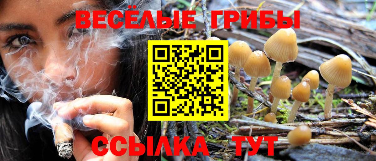 Галлюциногенные грибы мицелий  как найти наркотики  Десногорск  Вход с VPN  Псилоцибиновые грибы MAGIC MUSHROOMS 